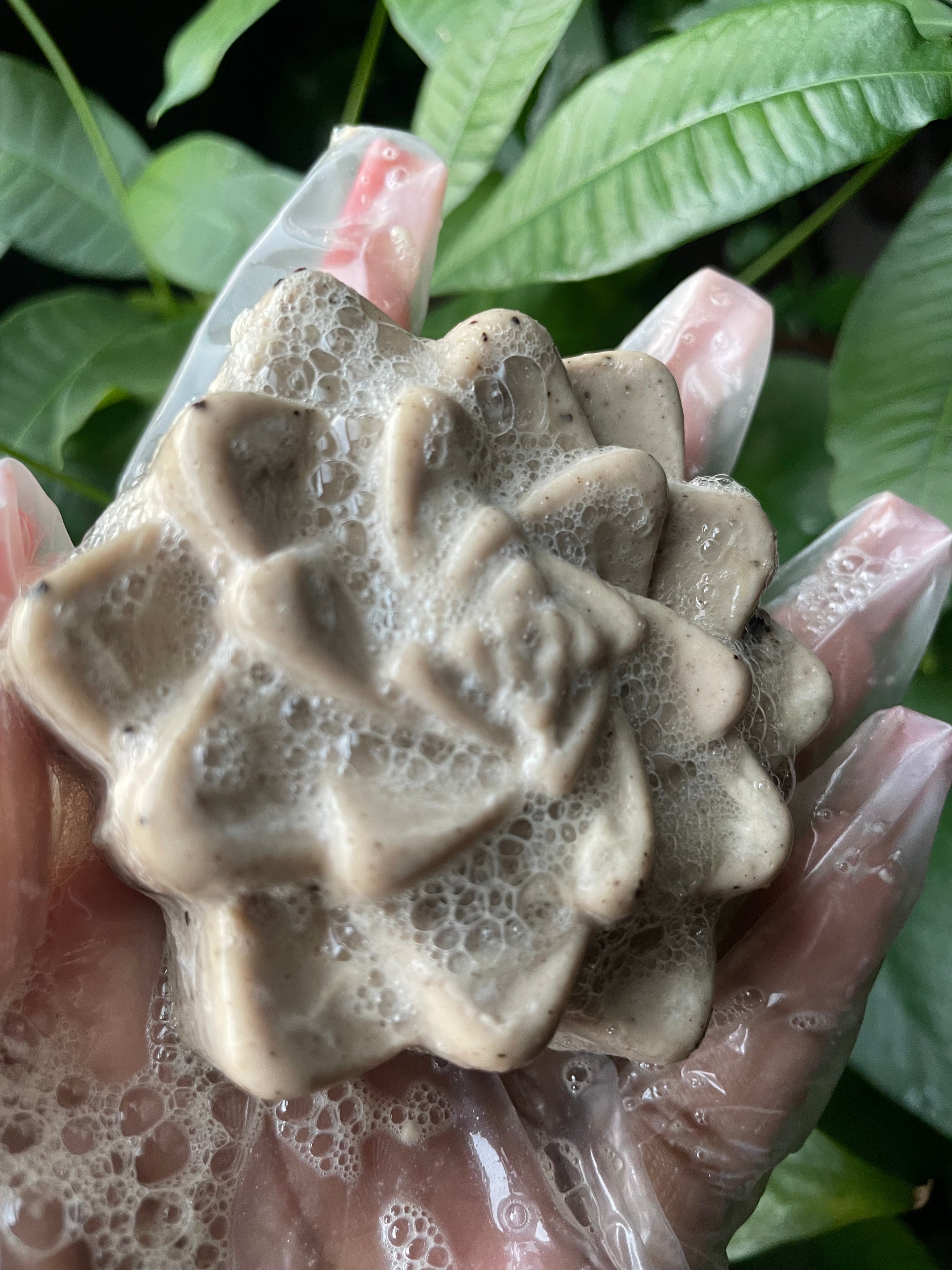 Cashmere Cafe Shampoo Bar